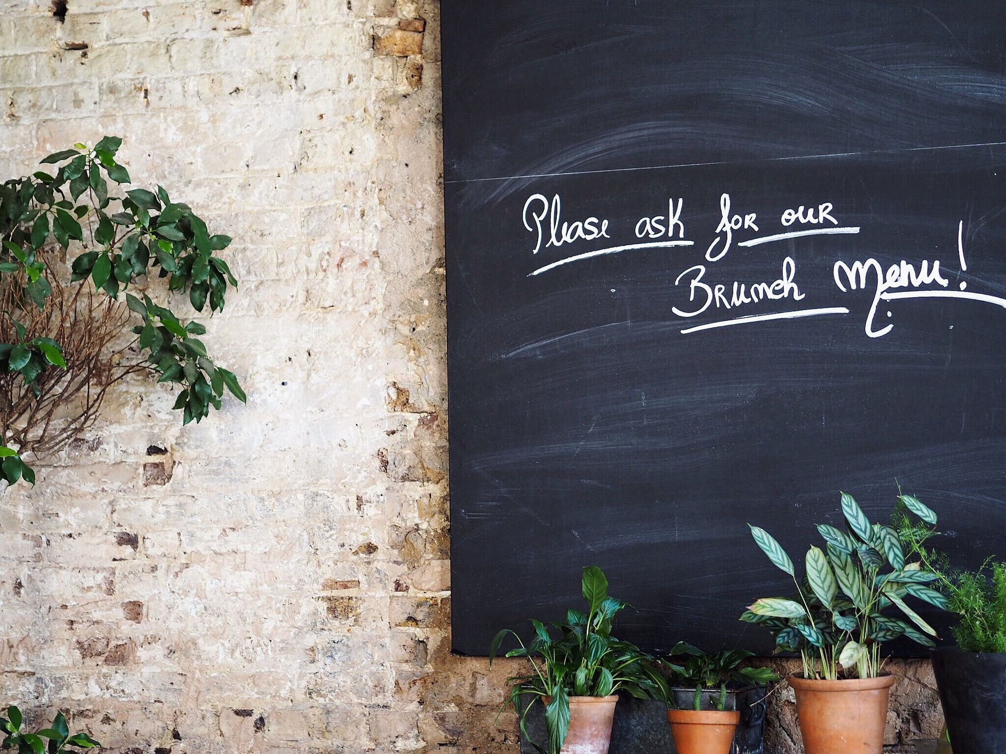 A black chalkboard sign reading "Please ask for our Brunch Menu!" sits against a weathered brick wall with potted plants.